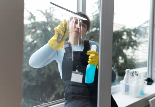 Nettoyage de vitres intérieures et extérieures à Sebourg